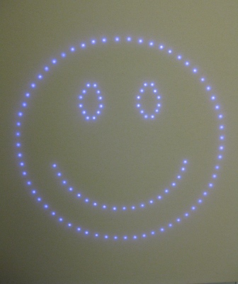 Take a Picture: Smile by Brad Blucher and Kyle Clements, 2009