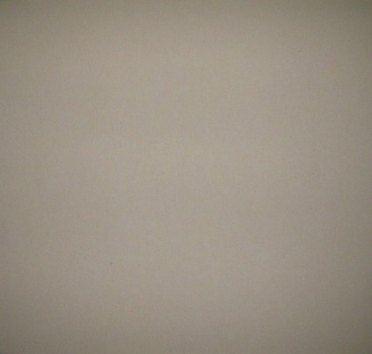 Take a Picture: Cheese by Brad Blucher and Kyle Clements, 2010