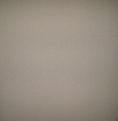 Take a Picture: Photo Not Available by Brad Blucher and Kyle Clements, 2010