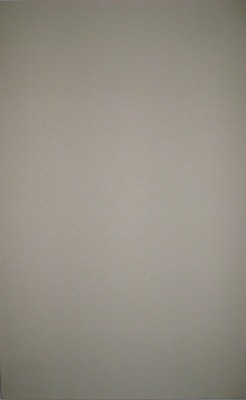 Take a Picture: Peace Sign by Brad Blucher and Kyle Clements, 2010